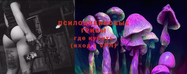 твердый Алзамай
