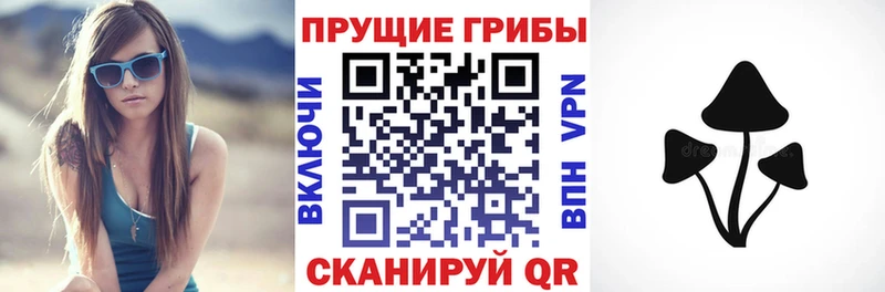 мориарти Telegram  Сатка  Псилоцибиновые грибы Cubensis 