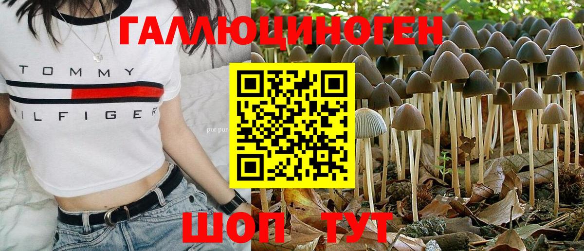 Псилоцибиновые грибы мицелий  Вход с VPN  Галлюциногенные грибы Psilocybe  наркошоп  Сатка 
