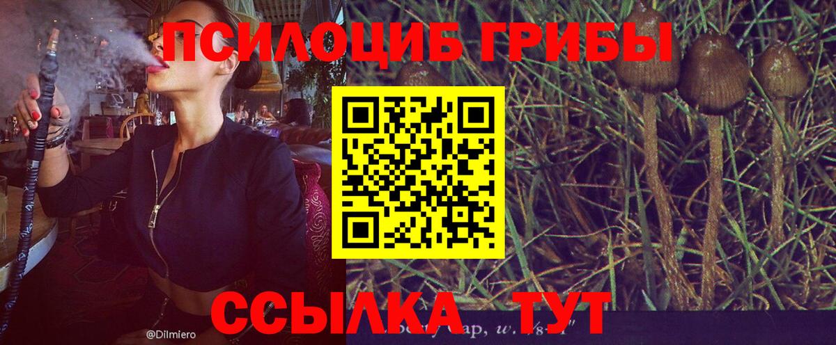 Псилоцибиновые грибы ЛСД Сатка